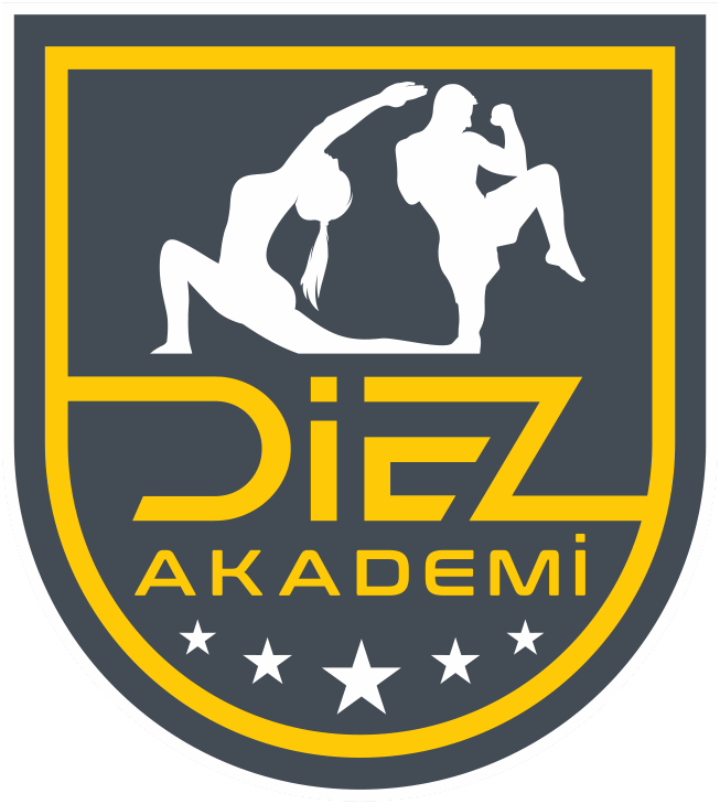 Diez Akademi Logo