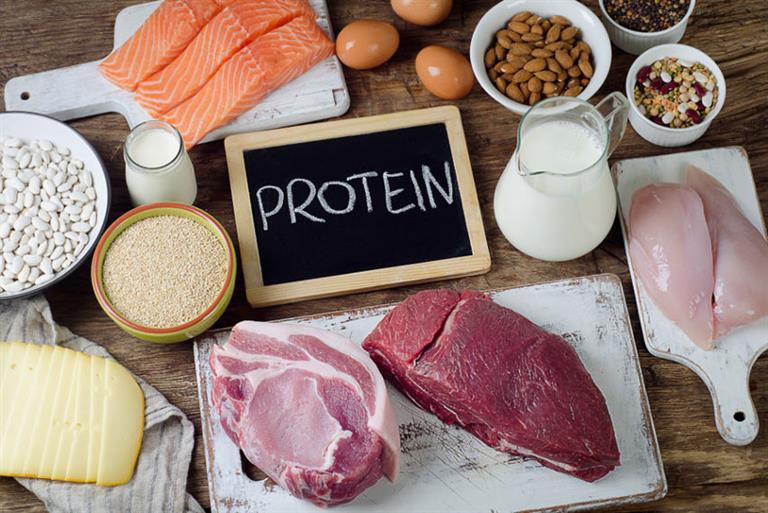 Protein Eksikliği ve Fazlalığı Etkileri Nelerdir?.